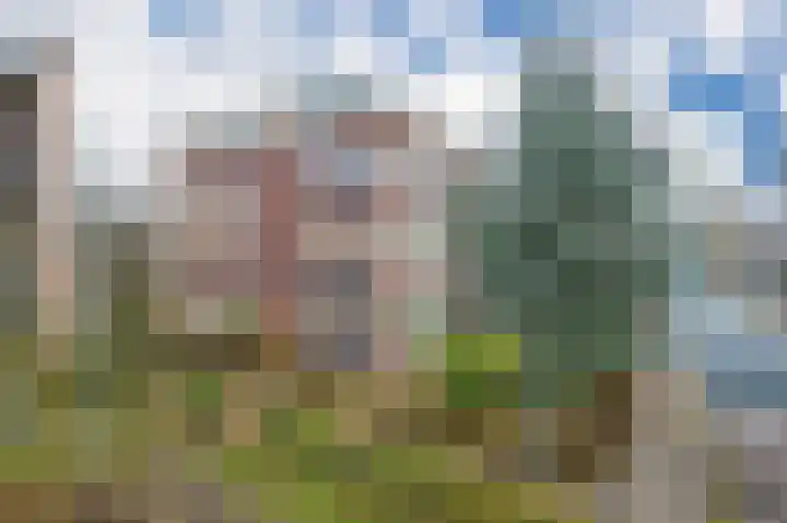 Cederhof 28 Duiven thumbnail 8