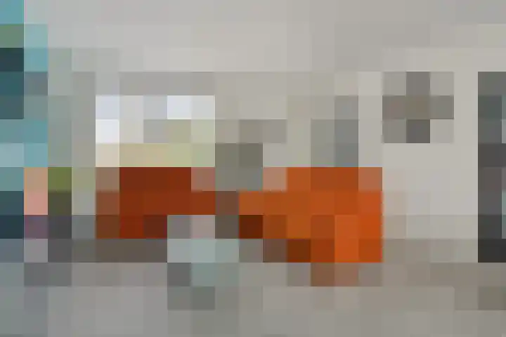 Cederlaar 67 Veghel thumbnail 11