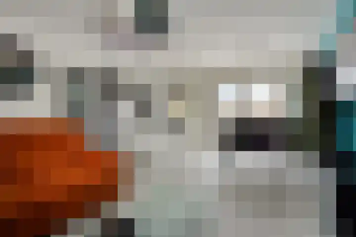 Cederlaar 67 Veghel thumbnail 12
