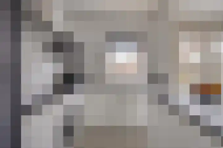 Cederlaar 67 Veghel thumbnail 15