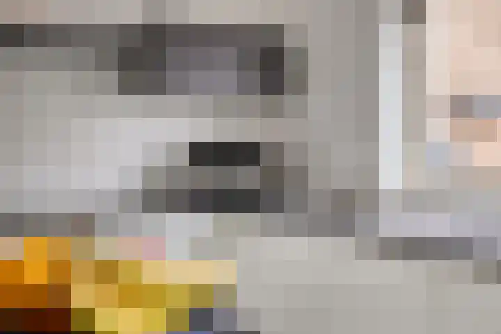 Cederlaar 67 Veghel thumbnail 16