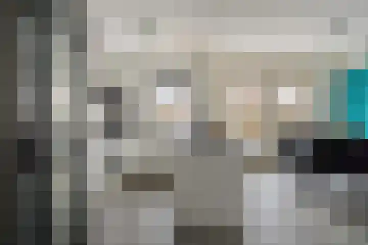 Cederlaar 67 Veghel foto 2
