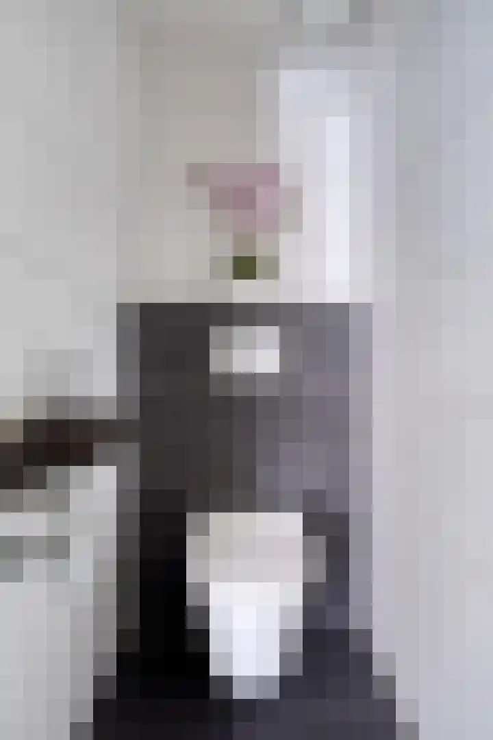 Cederlaar 67 Veghel thumbnail 20