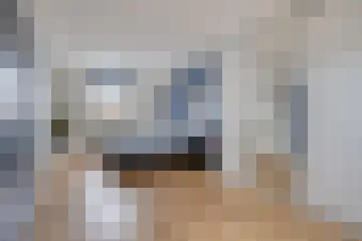 Cederlaar 67 Veghel thumbnail 22
