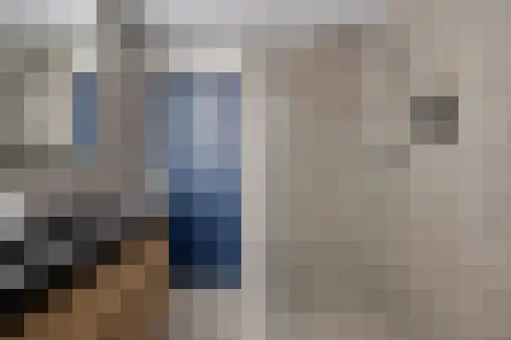 Cederlaar 67 Veghel thumbnail 26