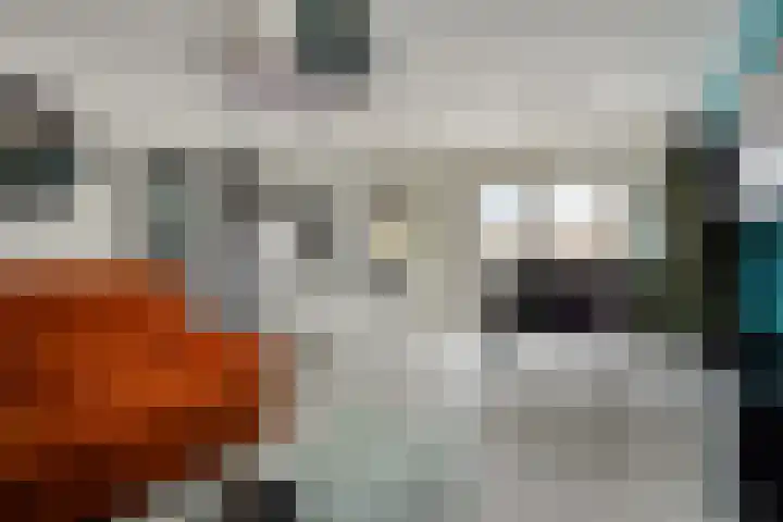 Cederlaar 67 Veghel foto 3