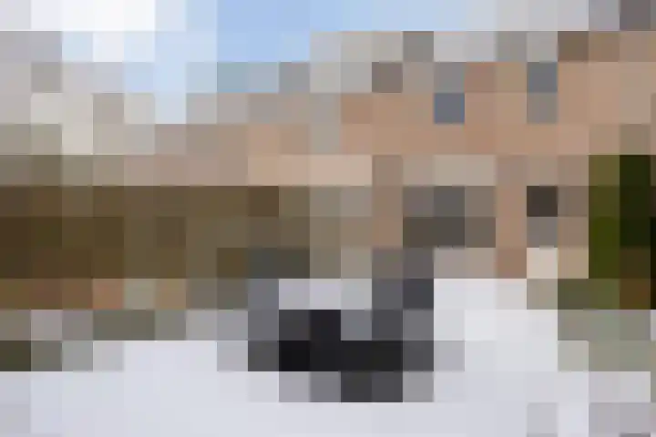 Cederlaar 67 Veghel thumbnail 32