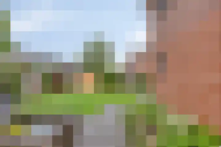 Cederstraat 1 Winterswijk thumbnail 33