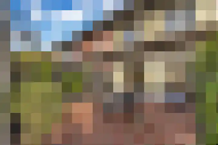 Cederstraat 12 Echt thumbnail 14
