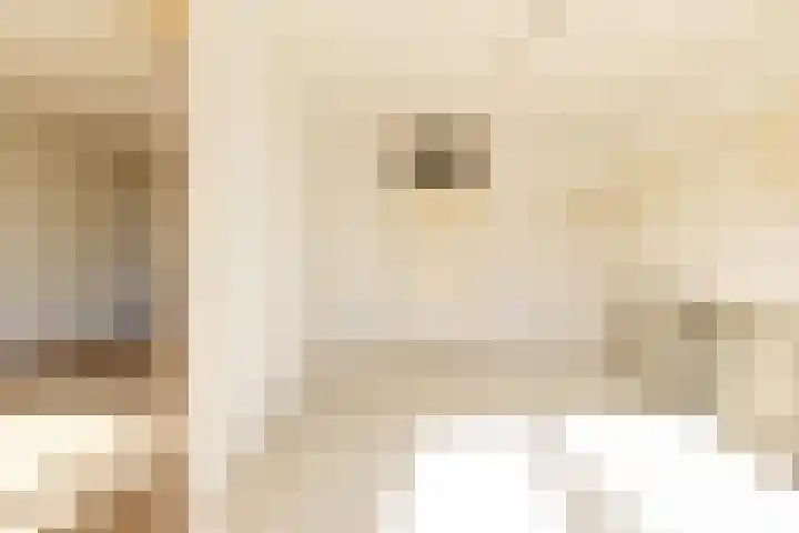 Cederstraat 12 Echt thumbnail 5
