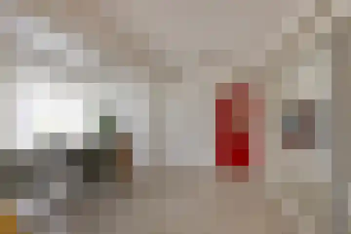 Cederstraat 153 Tilburg thumbnail 7