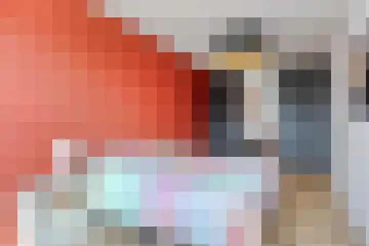 Cedule 18 Hardenberg thumbnail 19