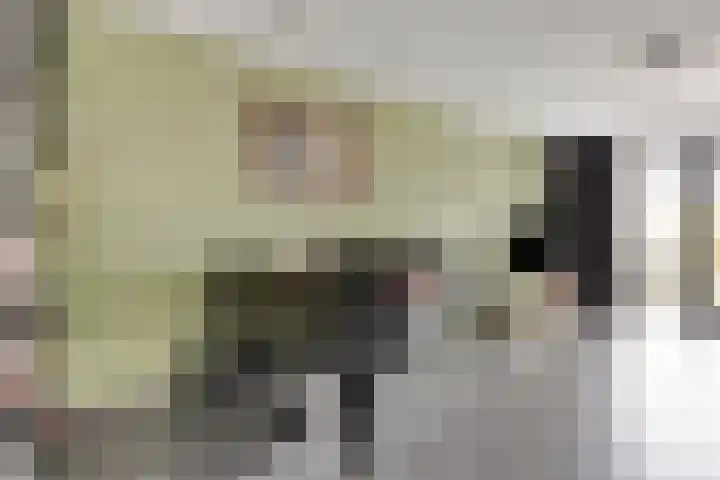 Cedule 18 Hardenberg thumbnail 7