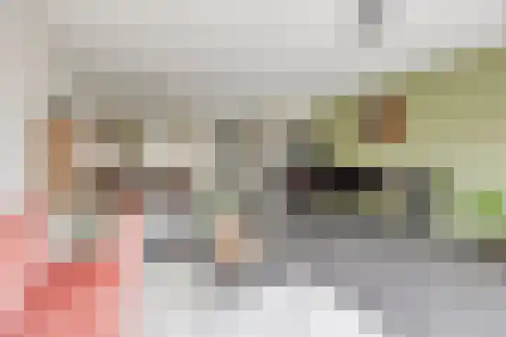 Cedule 18 Hardenberg thumbnail 8