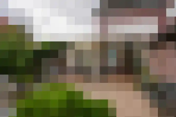 Ceintuurstraat 29 Landgraaf thumbnail 26