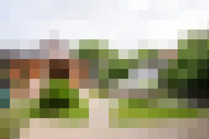 Ceintuurstraat 29 Landgraaf thumbnail 27