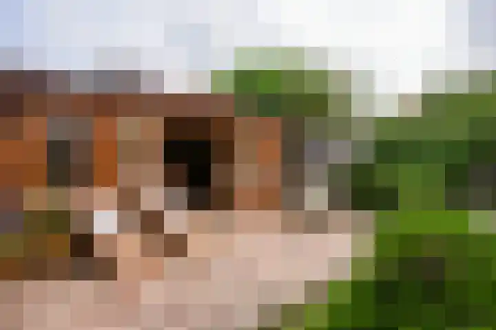 Ceintuurstraat 29 Landgraaf thumbnail 31