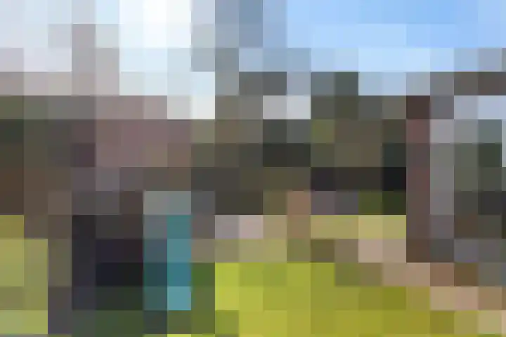 Celebesstraat 41 Baarn thumbnail 30