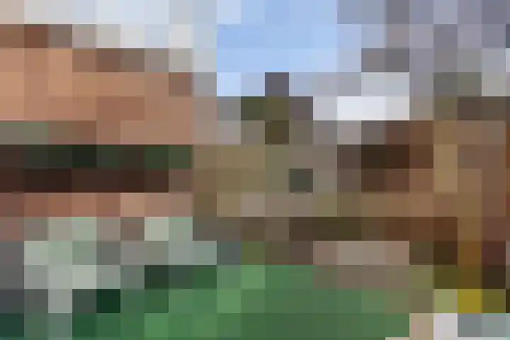 Celebesstraat 41 Baarn thumbnail 33