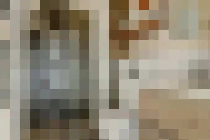 Celebesstraat 61 E Amsterdam thumbnail 17