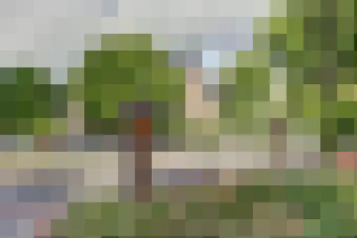 Celebesstraat 61 E Amsterdam thumbnail 32