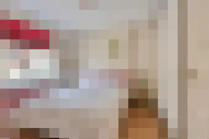 Celestraat 28 Zwolle thumbnail 23