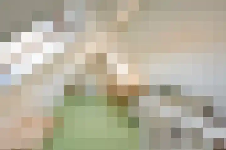 Celestraat 28 Zwolle thumbnail 31