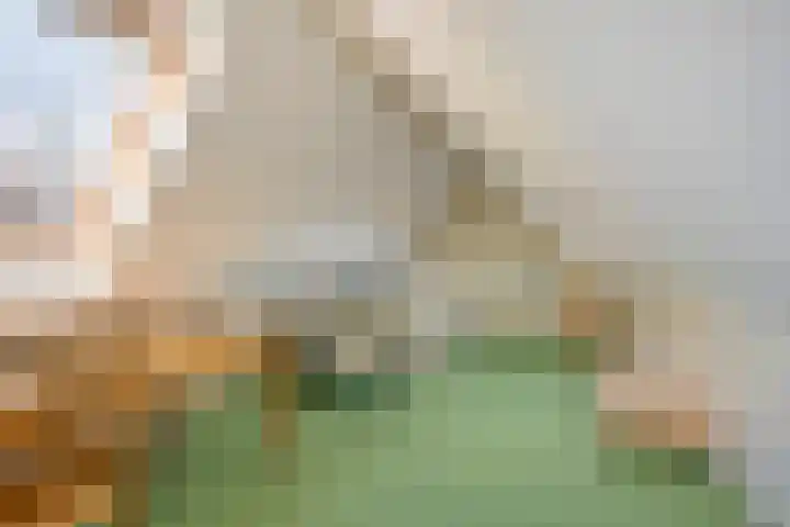 Celestraat 28 Zwolle thumbnail 32