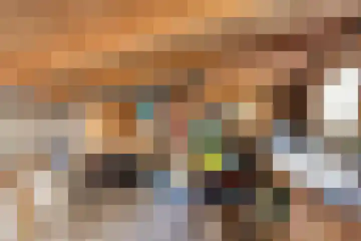 Celestraat 28 Zwolle thumbnail 35