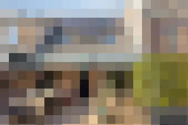 Celestraat 28 Zwolle thumbnail 39
