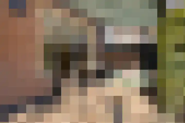 Celestraat 28 Zwolle thumbnail 40