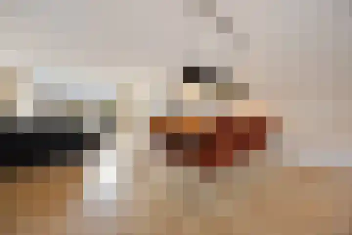 Cellopad 10 Duiven thumbnail 11