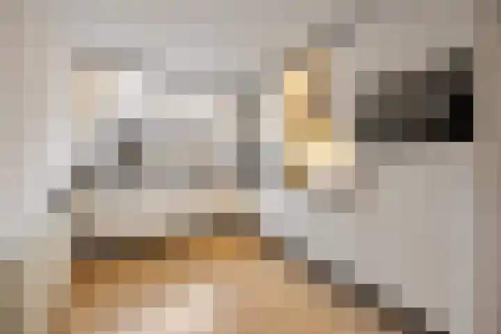 Cellopad 10 Duiven thumbnail 14