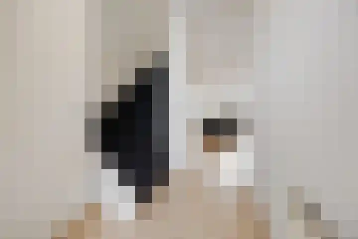 Cellopad 10 Duiven thumbnail 17