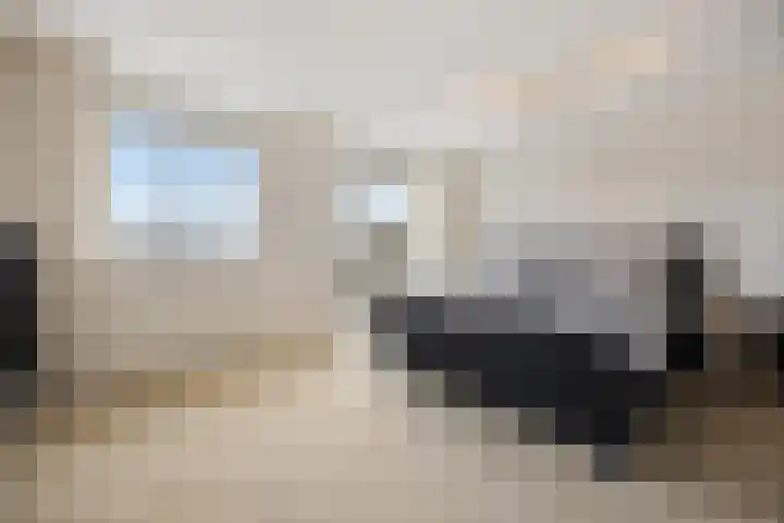 Cellopad 10 Duiven thumbnail 19