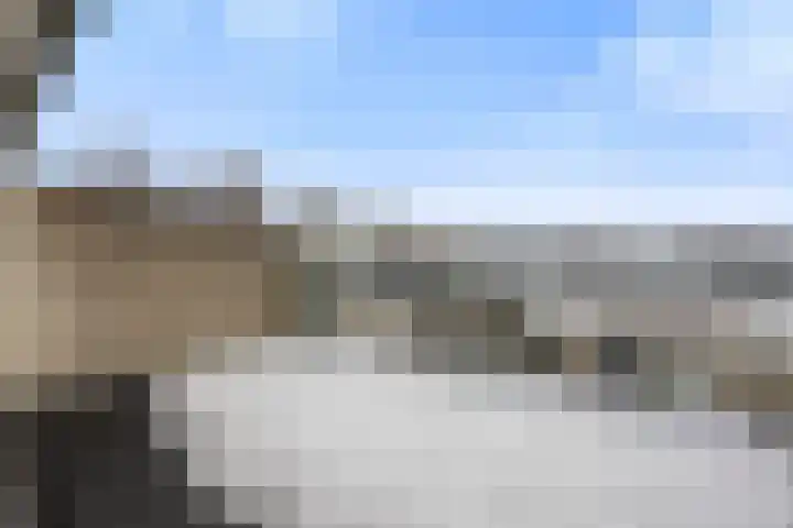 Cellopad 10 Duiven thumbnail 21