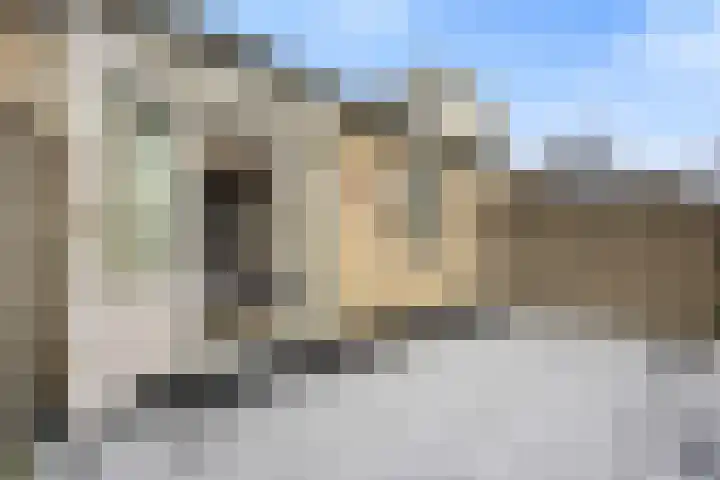 Cellopad 10 Duiven thumbnail 22
