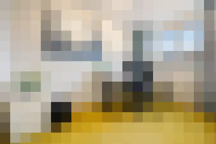Cellopad 10 Duiven thumbnail 25
