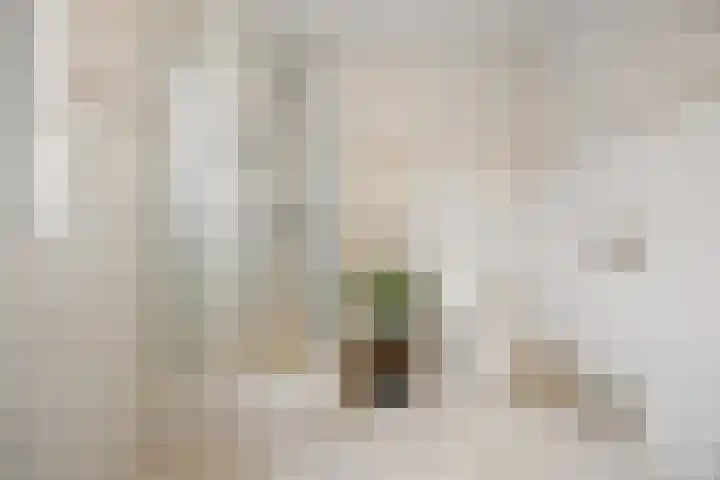 Cellopad 10 Duiven thumbnail 26
