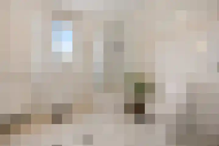 Cellopad 10 Duiven thumbnail 28