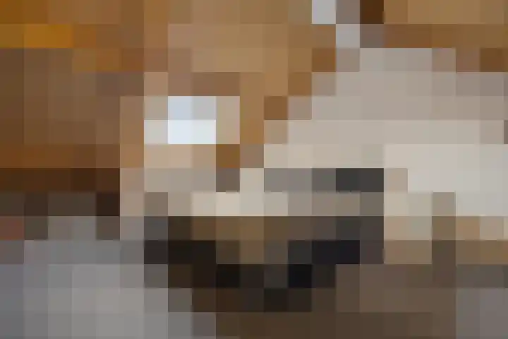 Cellopad 10 Duiven thumbnail 30