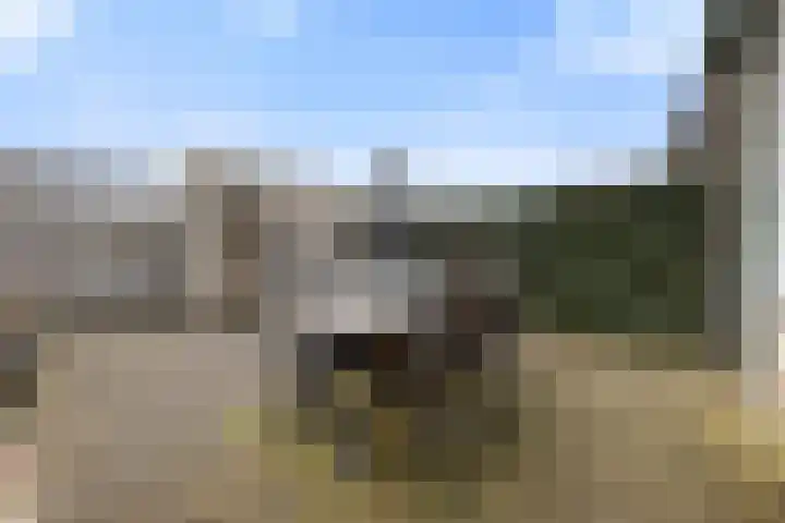 Cellopad 10 Duiven thumbnail 33