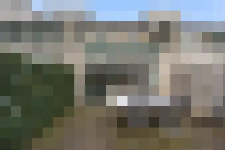 Cellopad 10 Duiven thumbnail 35