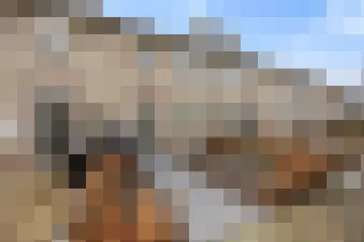 Cellopad 10 Duiven thumbnail 41