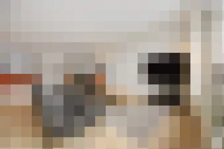 Cellopad 10 Duiven thumbnail 6