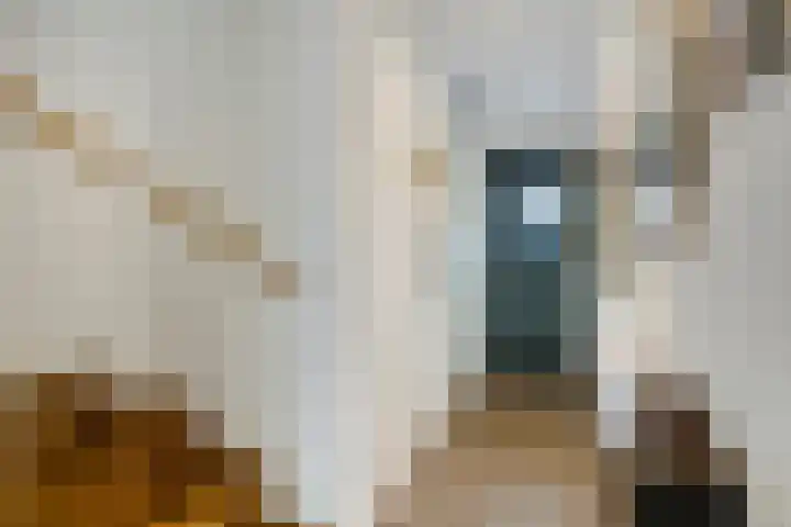 Cellostraat 10 Eindhoven thumbnail 11