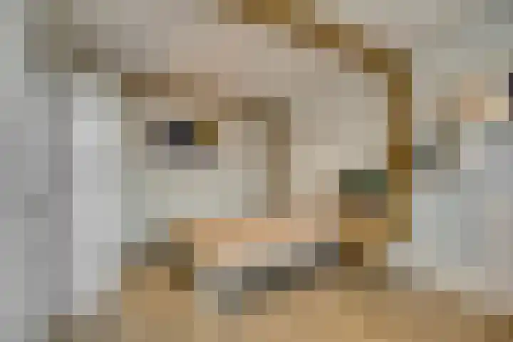 Cellostraat 10 Eindhoven thumbnail 32