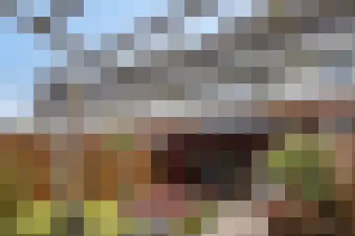 Cellostraat 10 Eindhoven thumbnail 39