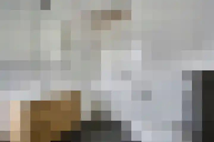 Cellostraat 10 Eindhoven thumbnail 4