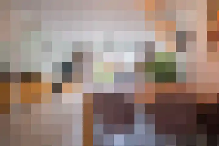 Cellostraat 55 Eindhoven thumbnail 18